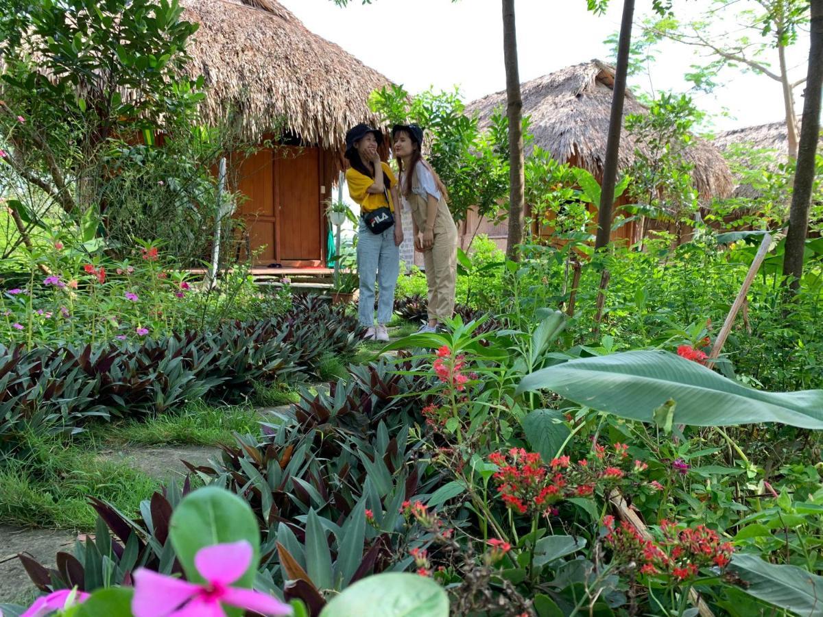 Cuc Phuong Bungalow Nho Quan Eksteriør bilde
