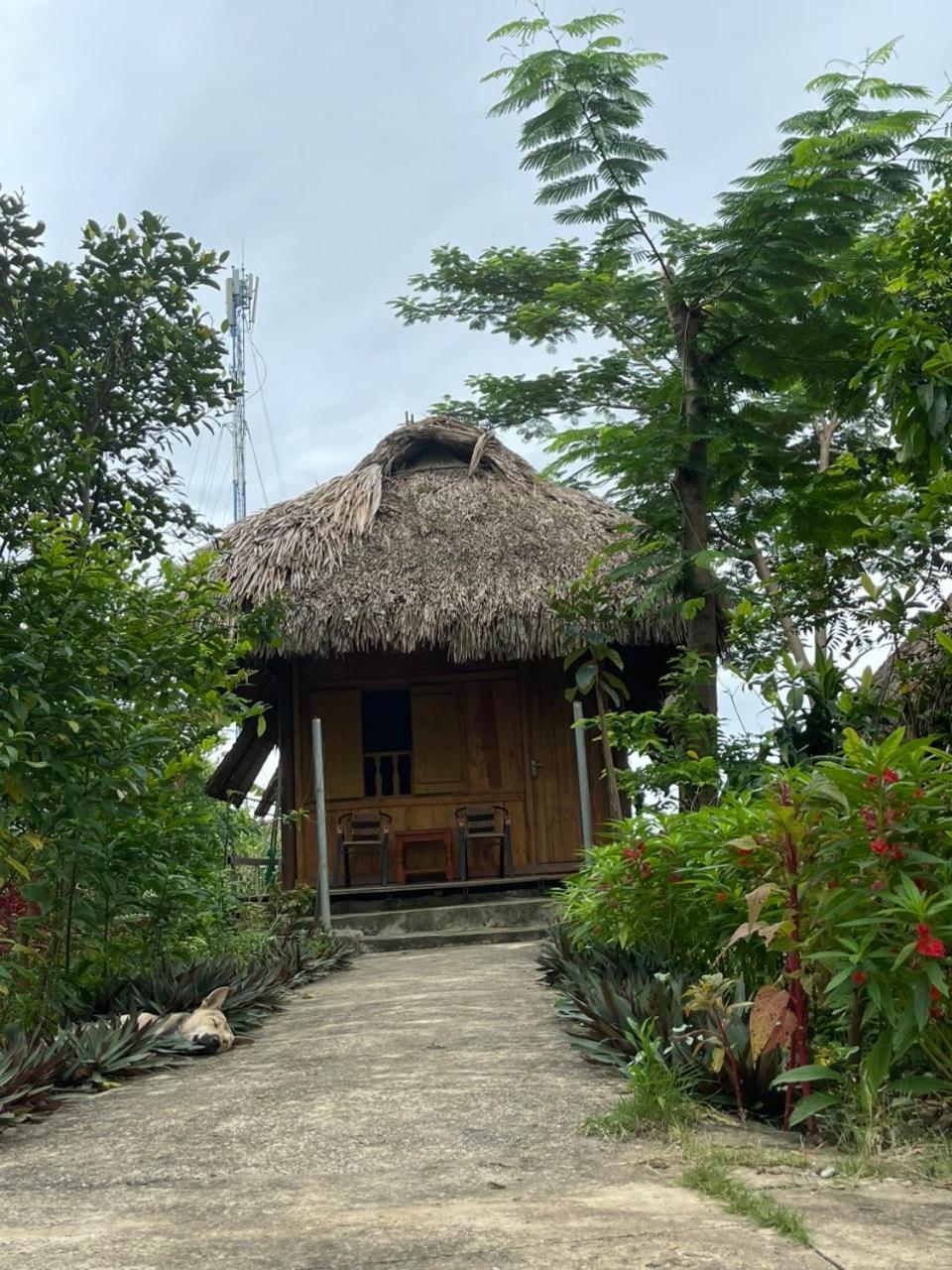 Cuc Phuong Bungalow Nho Quan Eksteriør bilde