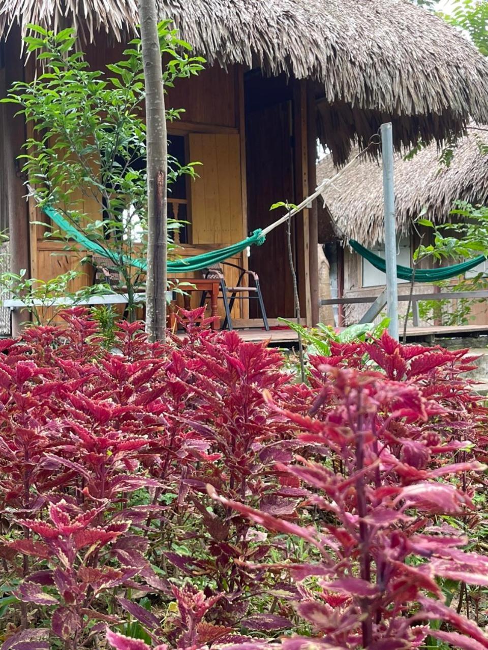 Cuc Phuong Bungalow Nho Quan Eksteriør bilde
