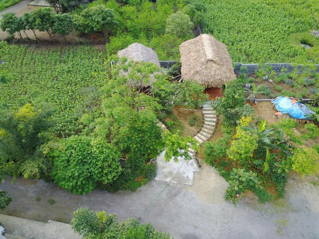 Cuc Phuong Bungalow Nho Quan Eksteriør bilde